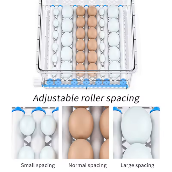 Well Gain 9XP-005A   Small egg incubator hatching machine - 图片 3